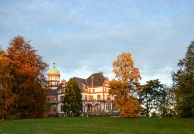 Mecksikon-Entdecker-Tipp! Mecksikon-Entdecker-Tipp!