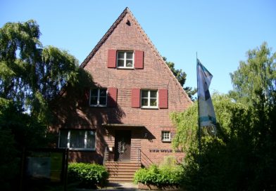 Mecksikon Entdecker Tipp Mecksikon Entdecker Tipp